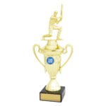 Cricket Signal Cup