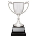 Provenance Cup