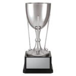 Paramount Cup