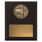 Challenge Plaque - Fishing