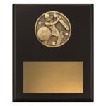 Challenge Plaque - Batting