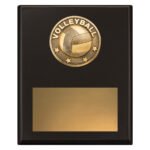 Challenge Plaque - Volleyball