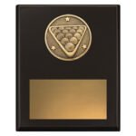 Challenge Plaque - Pool