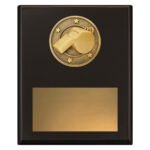 Challenge Plaque - Whistle