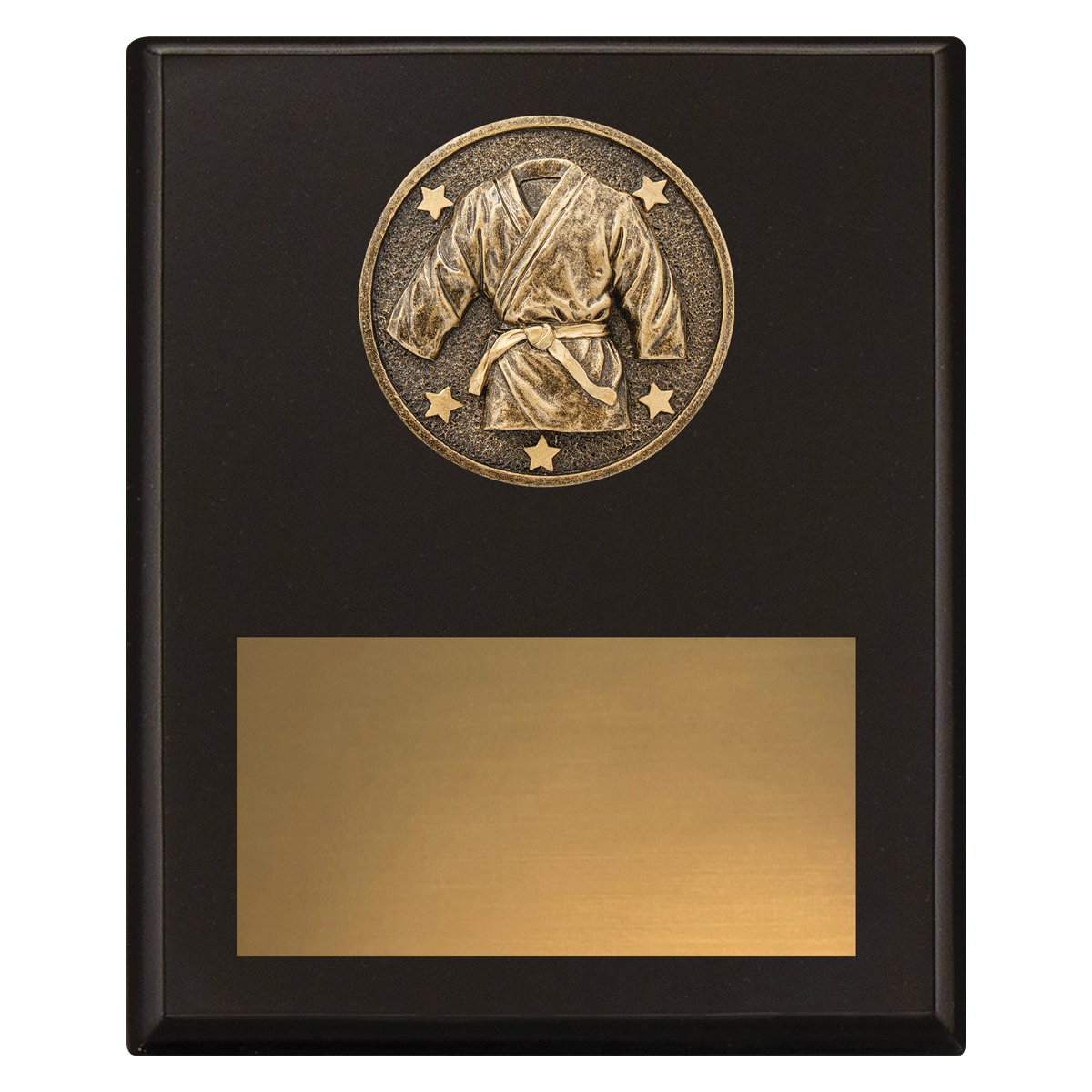 SP645C Challenge Plaque - Martial Arts - Image 1