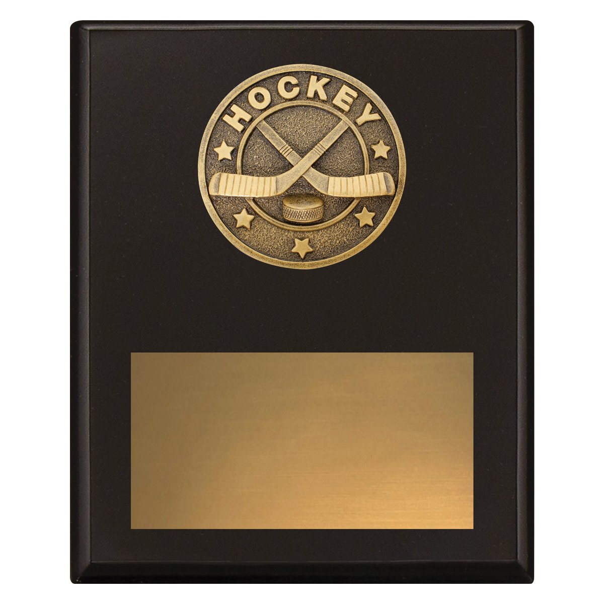 SP650C Challenge Plaque - Ice Hockey - Image 1