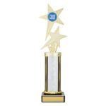 Silver Twin Star