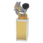 Ice Hockey Budget Crystal
