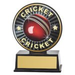 Vibe Cricket