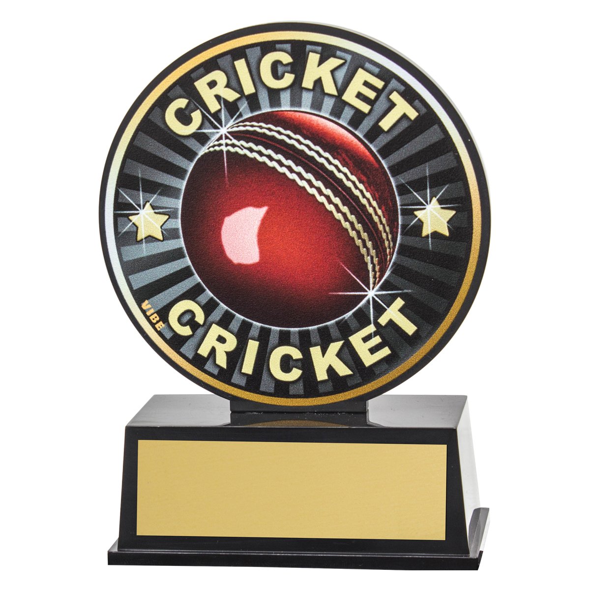 VB40 Vibe Cricket - Image 1