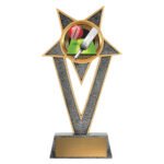Ventura - Cricket