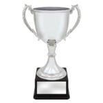 Ultimate Silver Cup