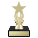 Enigma Mini Star