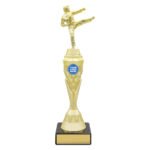Karate Gold Vector