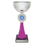 Pink Spiral Cup